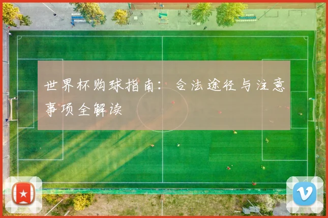 世界杯购球指南:合法途径与注意事项全解读