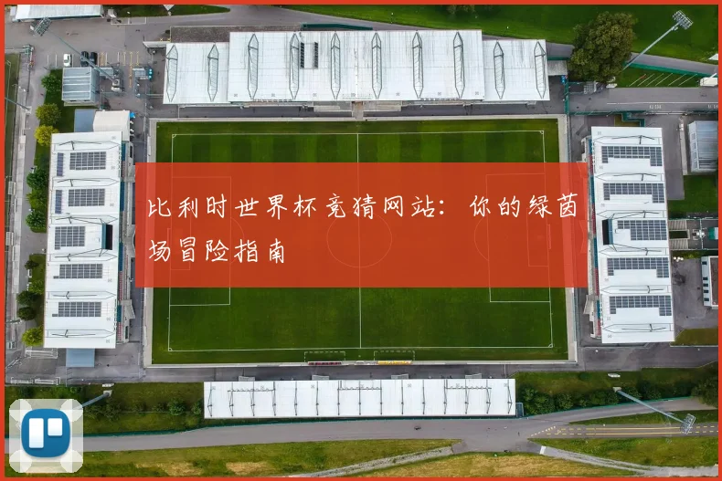 比利时世界杯竞猜网站：你的绿茵场冒险指南