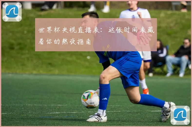 世界杯央视直播表：这张时间表藏着你的熬夜指南