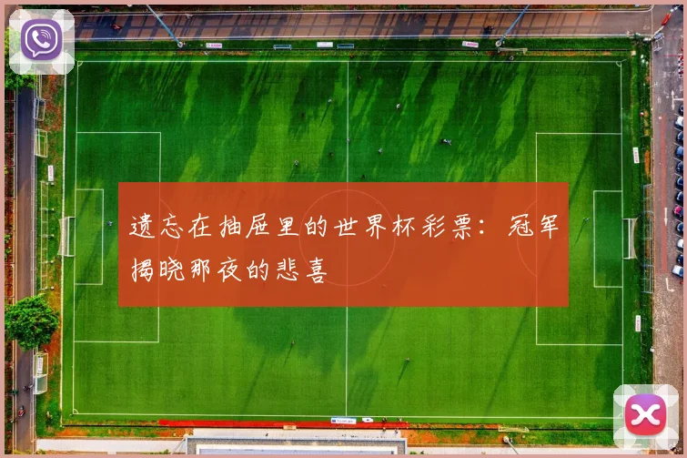 遗忘在抽屉里的世界杯彩票：冠军揭晓那夜的悲喜