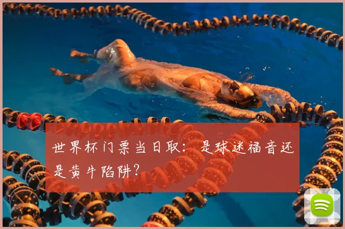 世界杯门票当日取:是球迷福音还是黄牛陷阱?