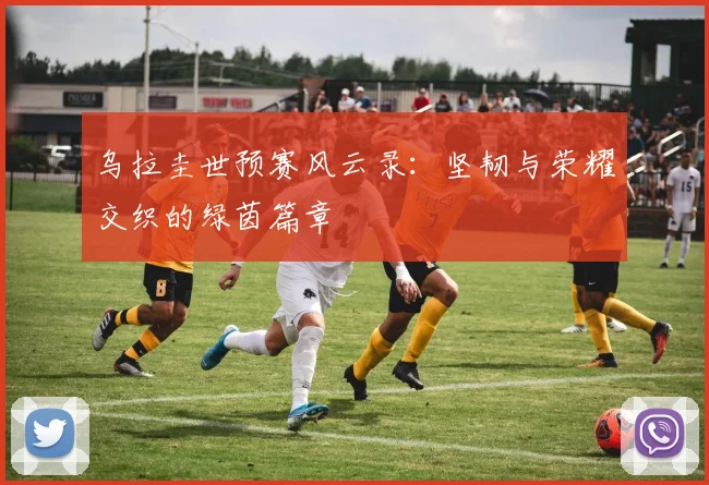 乌拉圭世预赛风云录：坚韧与荣耀交织的绿茵篇章
